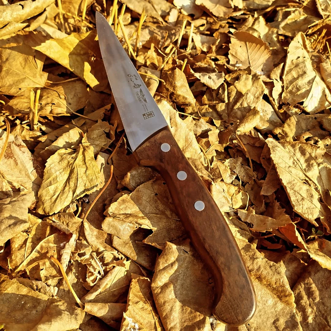 چاقو بیخصی دسته چوب آفریقا تیغه فولاد آلمان حیدری